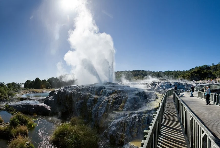 Khu địa nhiệt Te Puia - Địa điểm du lịch nổi tiếng New Zealand