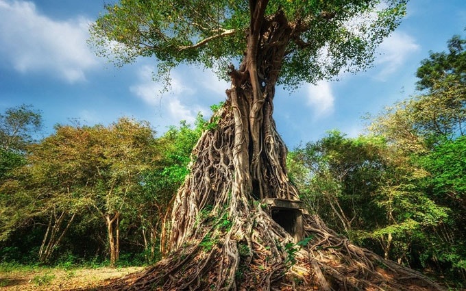 Khám phá di sản văn hóa mới ở Campuchia