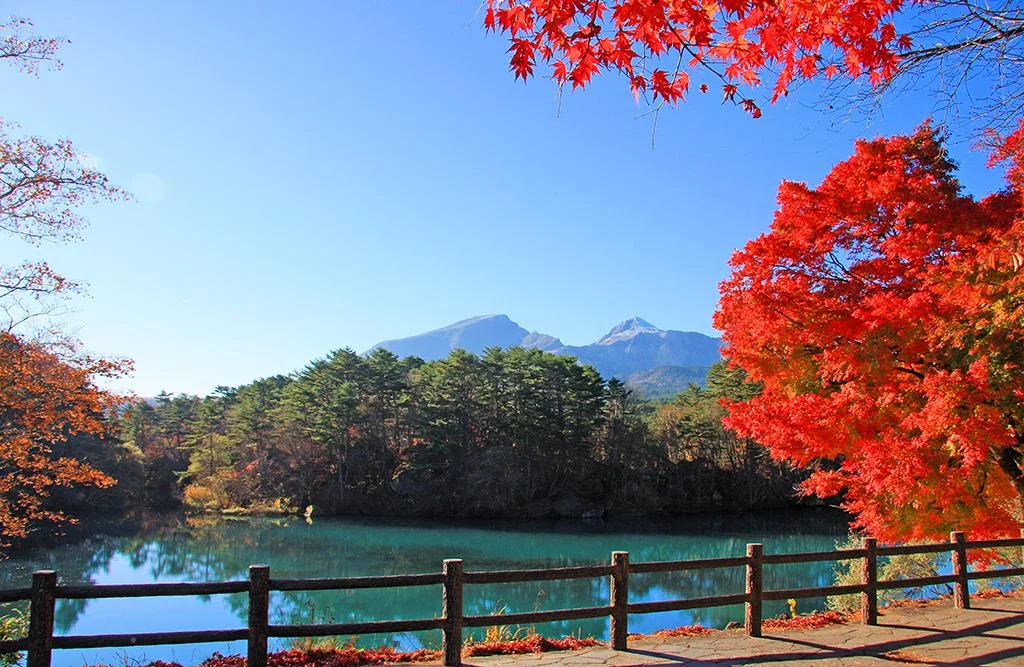 Fukushima - Trải nghiệm mùa thu tại 'vùng đất chết' của Nhật Bản