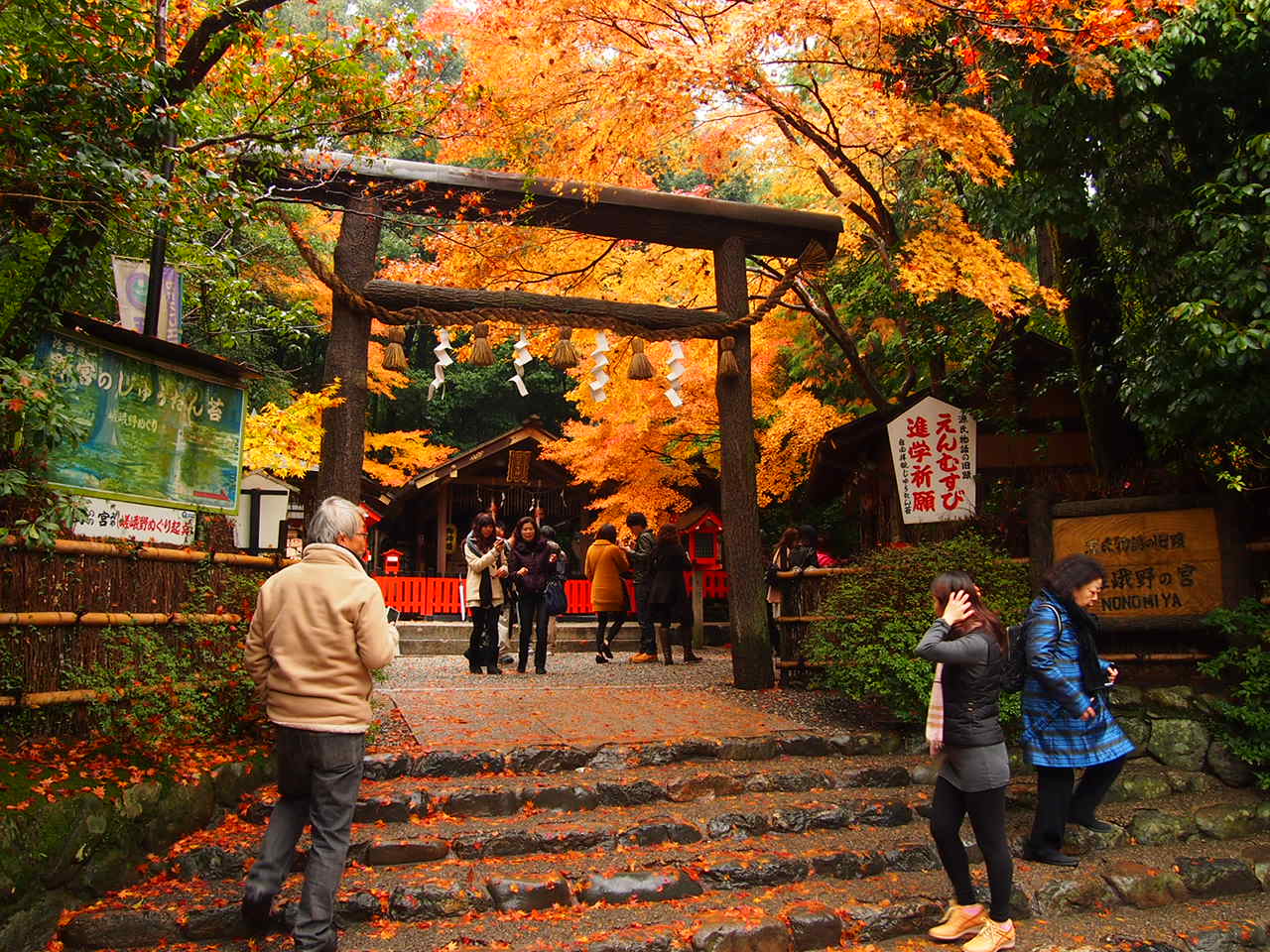 Kyoto và những bước chân chậm rãi làm say đắm lòng người