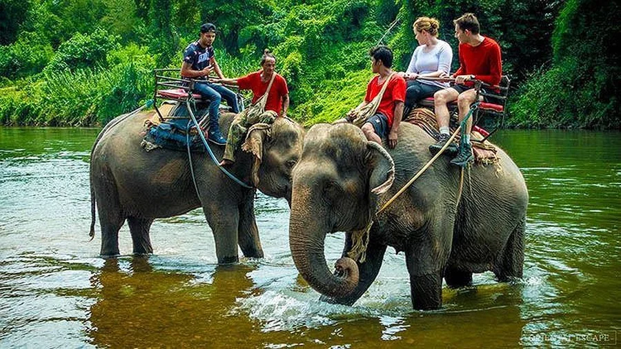 Chiang Mai - đóa hồng phương Bắc diễm lệ của Thái Lan