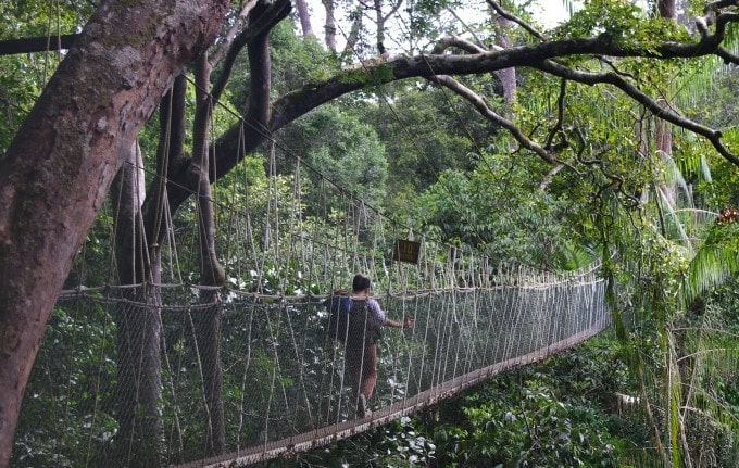 Khám phá rừng quốc gia Taman Negara ở Malaysia