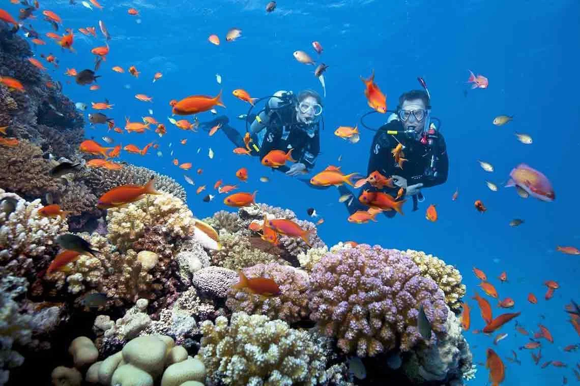 Các hoạt động nổi bật không thể bỏ lỡ khi đến Du Lịch Nha Trang
