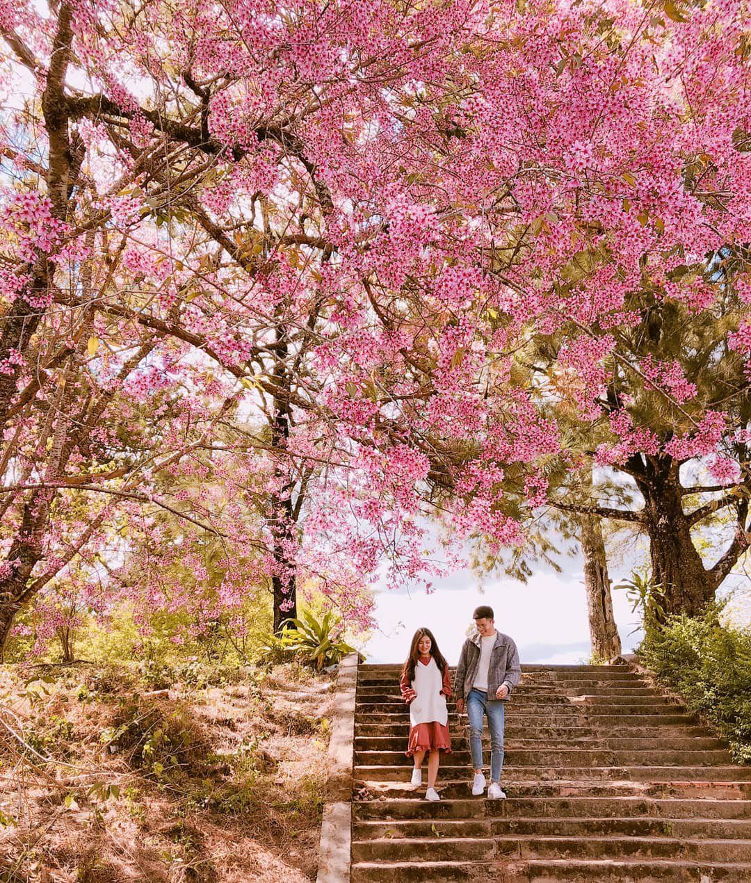 Những địa điểm checkin tuyệt vời không thể bỏ qua khi tới Đà Lạt