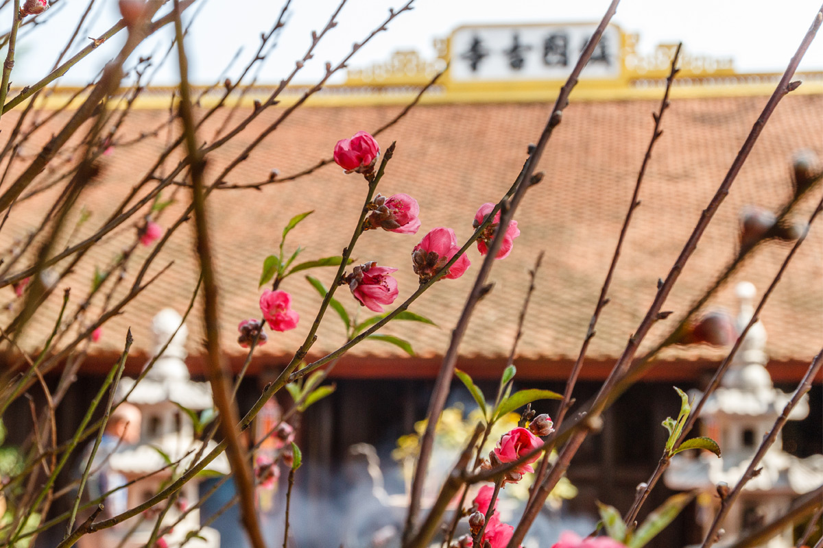 Top những địa điểm vui chơi thú vị vào dịp tết tại Hà Nội