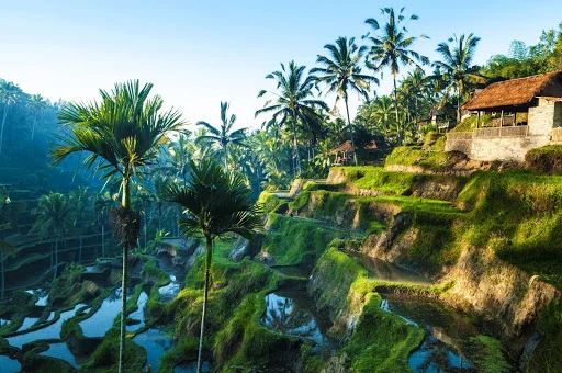Những điểm đến nổi tiếng khi đi du lịch tại Bali