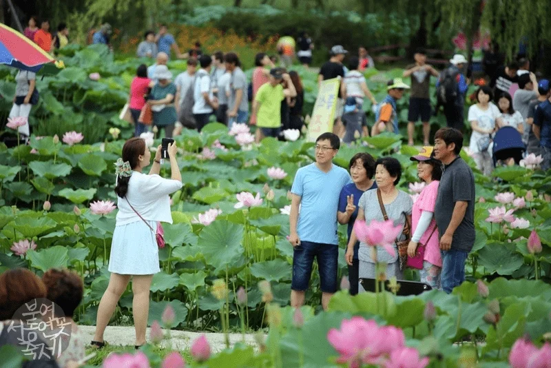 5 lý do bạn nên đi du lịch Hàn Quốc mùa hè