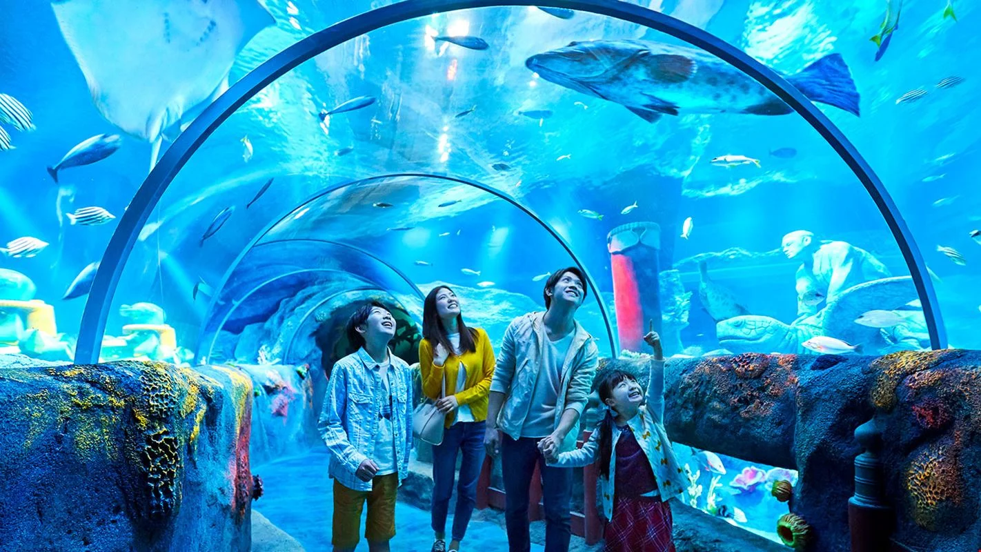 Đắm mình ở thuỷ cung lớn nhất Singapore