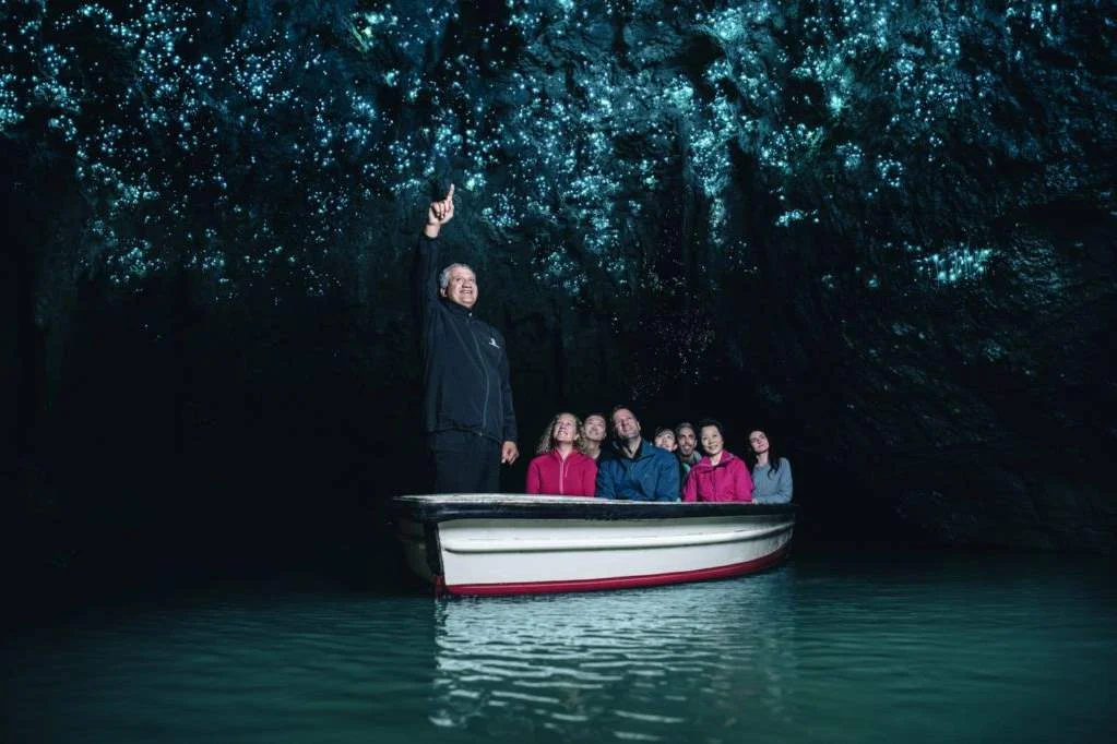 Khám phá hang phát sáng Waitomo Glowworm ở đảo Bắc New Zealand