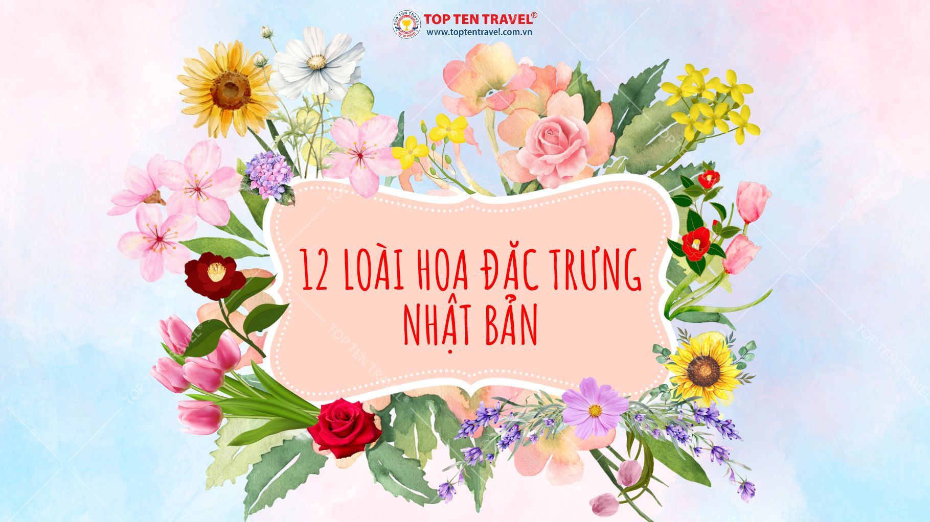 12 loài hoa đặc trưng cho 12 tháng ở Nhật Bản được yêu thích nhất