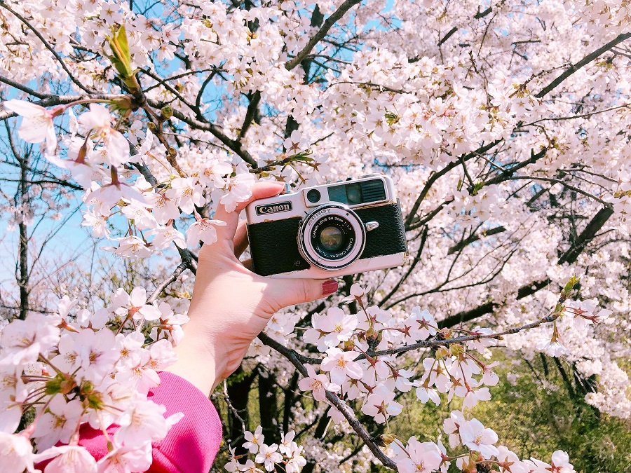 6 món quà lưu niệm du khách nên mua khi đến du lịch Nhật Bản