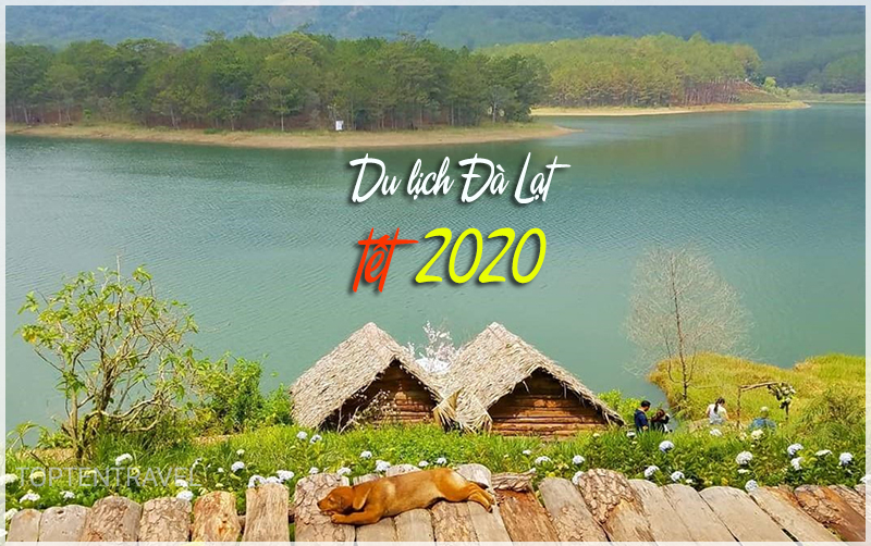 Du lịch Đà Lạt tết 2020 chuyện nhỏ như con thỏ khi nắm trong tay bí kíp này