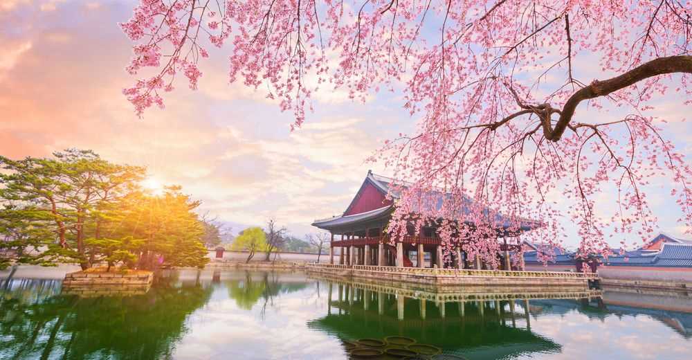 Nên mua gì làm quà khi đi du lịch Hàn Quốc?