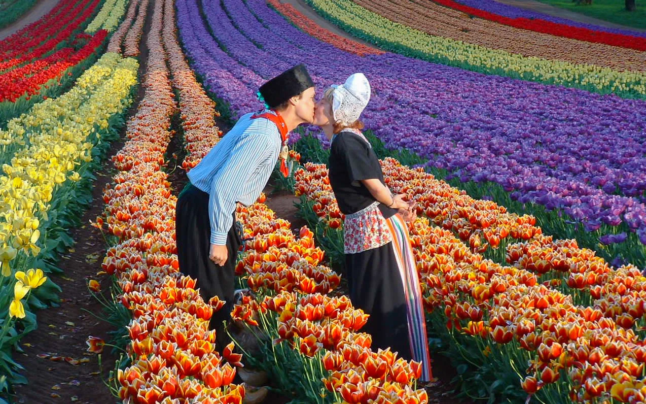 Du lịch Úc khám phá lễ hội hoa Tulip lớn nhất Melbourne