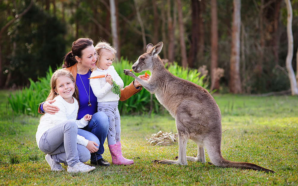 Kinh nghiệm khi đi du lịch Úc, du khách cần phải biết để chuyến đi trọn vẹn