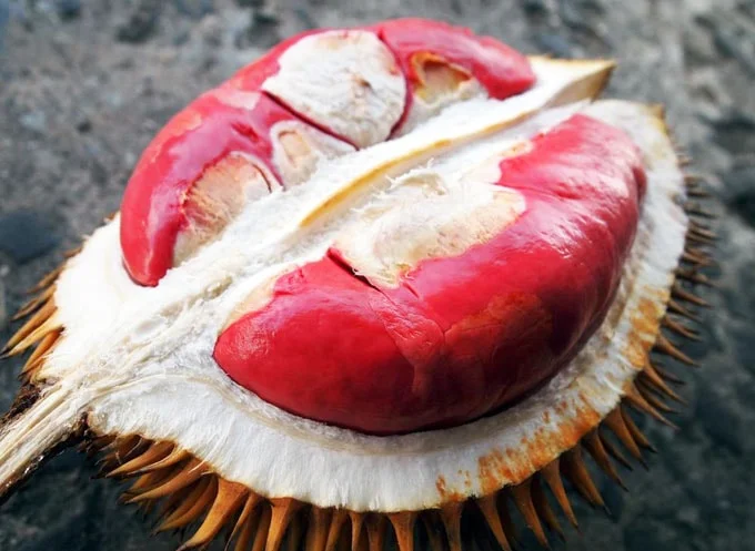 4 trải nghiệm như người bản địa ở Penang Malaysia