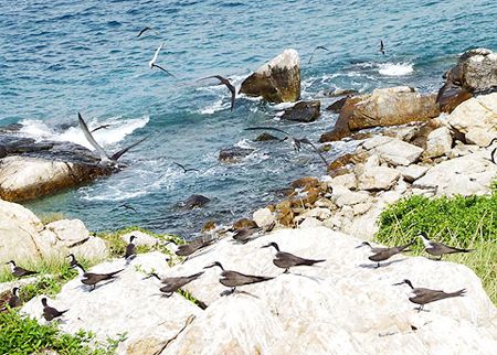 Đến Nha Trang đặt chân lên các đảo