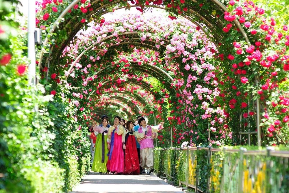 5 địa điểm tổ chức lễ hội hoa hồng đẹp nhất Hàn Quốc 2019