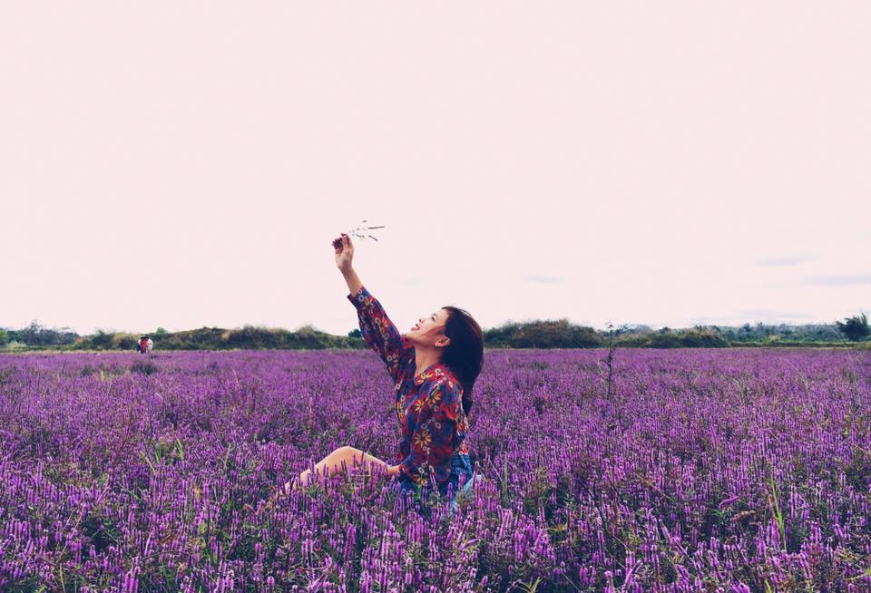 Cánh đồng hoa Lavender Đà Lạt và câu chuyện tình yêu huyền thoại