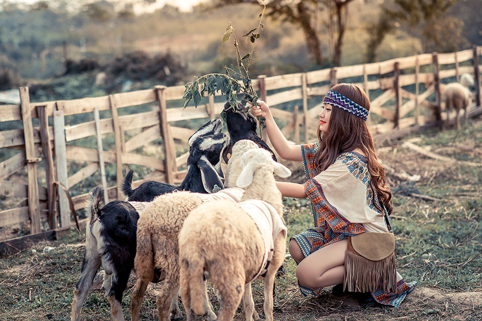 Hóa thân du mục trải nghiệm cuộc sống tại đồng cừu lớn nhất Ninh Thuận