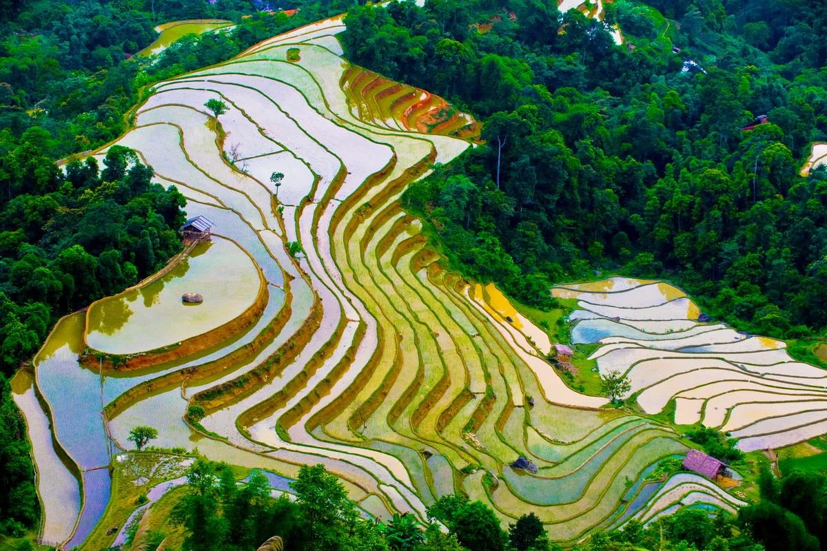 Ngất ngây với ruộng bậc thang Sapa đẹp như tranh vẽ mùa nước đổ