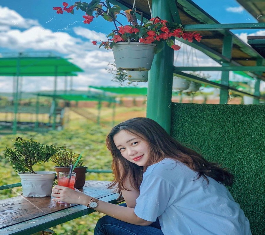 Du lịch Đà Lạt ngay kẻo lỡ 7 mùa hoa nở rộ đẹp chao đảo giới trẻ