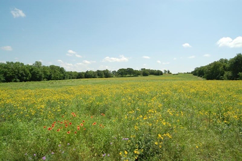 Du Ngoạn Texas (Mỹ) - Những Trải Nghiệm Khó Quên.
