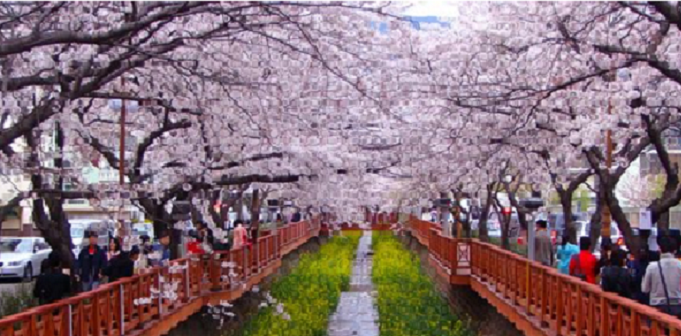 Trải nghiệm 10 điểm du lịch tuyệt vời tại Hàn Quốc