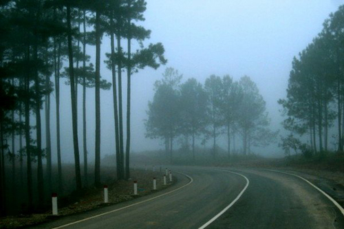 Du lịch Đà Lạt vào mùa mưa