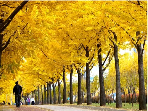 Lựa chọn cho chuyến du lịch trăng mật ngọt ngào