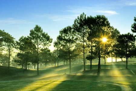 10 lý do khiến bạn phải du lịch Đà Lạt một lần trong đời