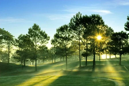 10 lý do khiến bạn phải du lịch Đà Lạt một lần trong đời