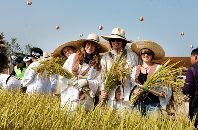 Đặc sắc lễ hội Đường chân trời Gimje