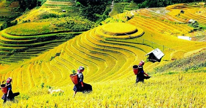 Điểm đến lý tưởng cho những ai còn một mình