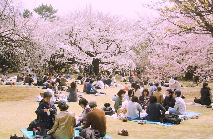 10 trải nghiệm hàng đầu khi đi du lịch Nhật Bản