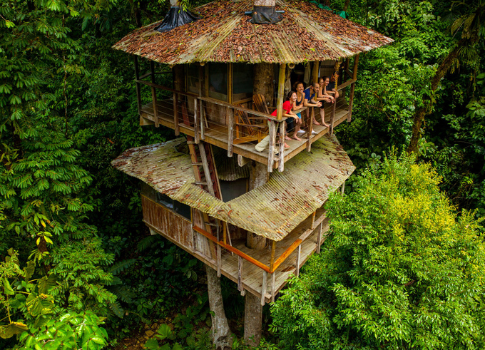 10 khách sạn trên cây đẹp nhất thế giới