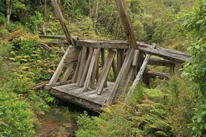 Khám phá những con đập gỗ cổ xưa ở đất nước New Zealand