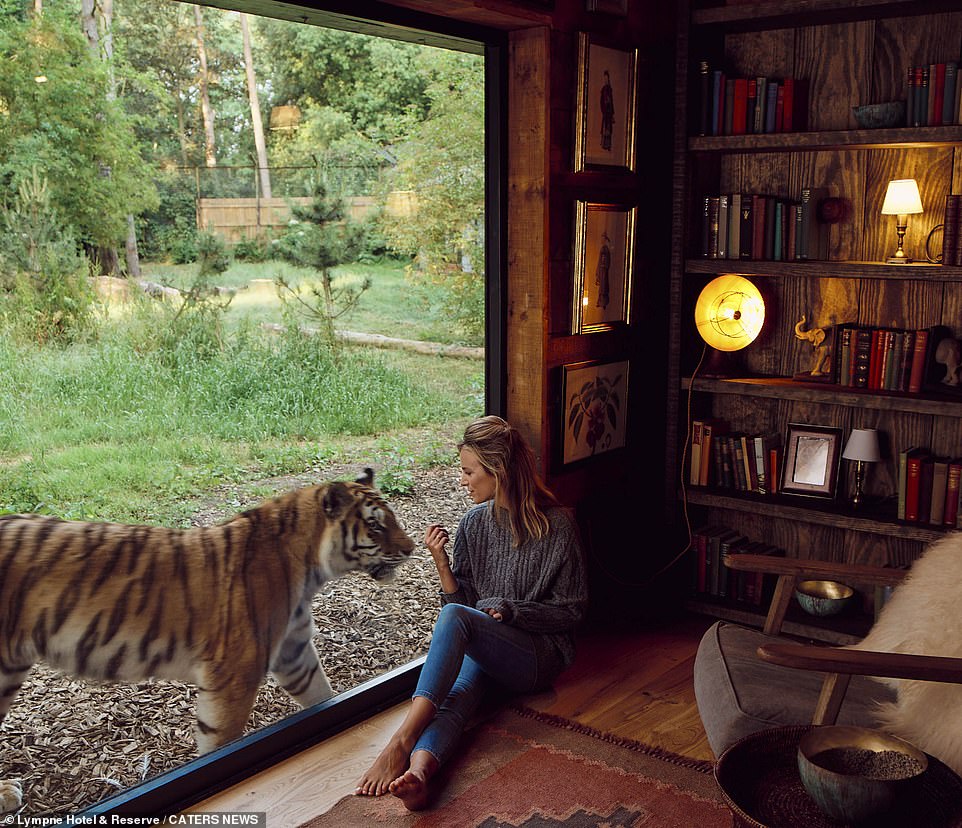 Tìm hiểu về khách sạn thú dữ nổi tiếng ở Anh