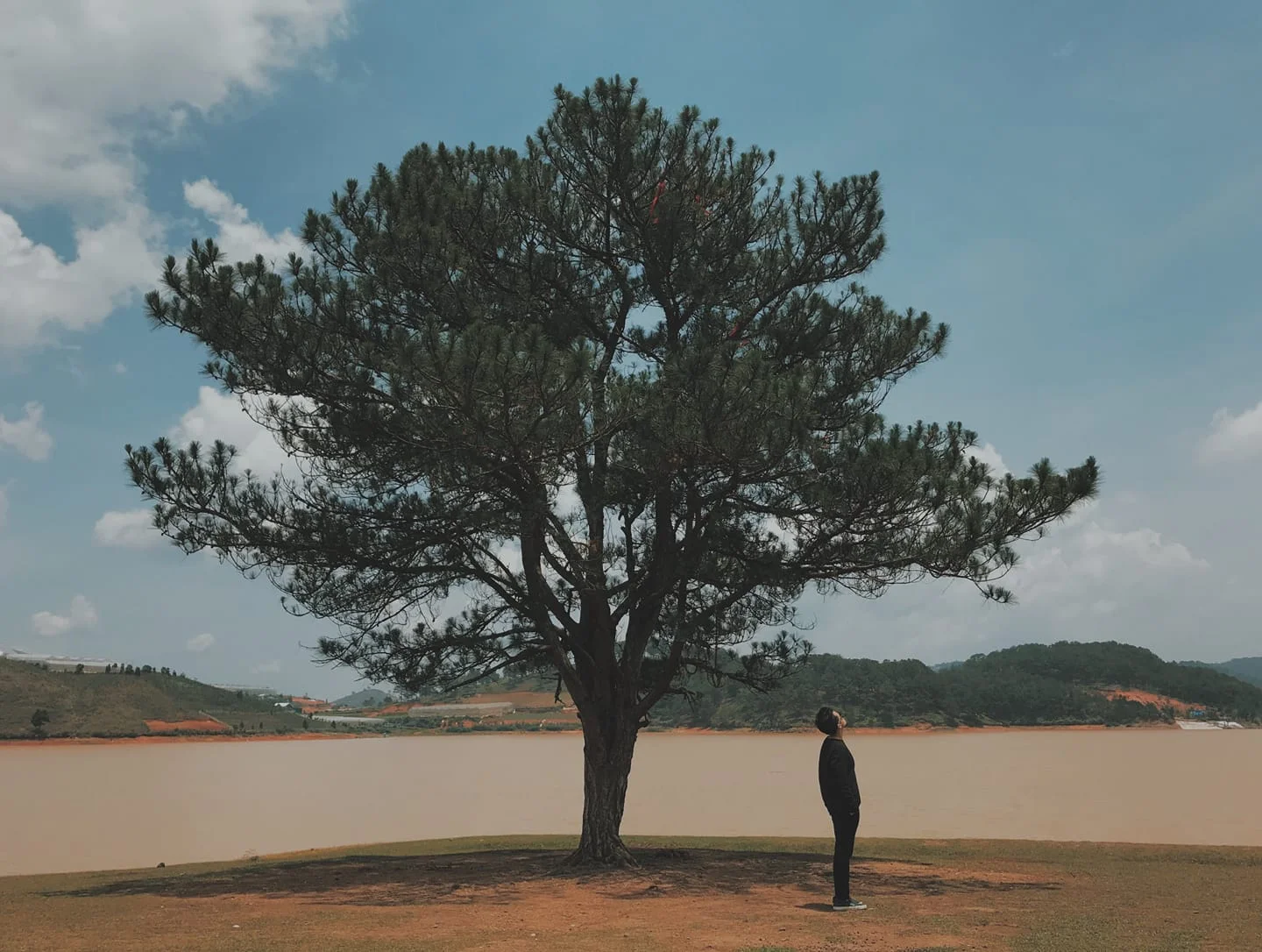 Tản mạn về Đà Lạt
