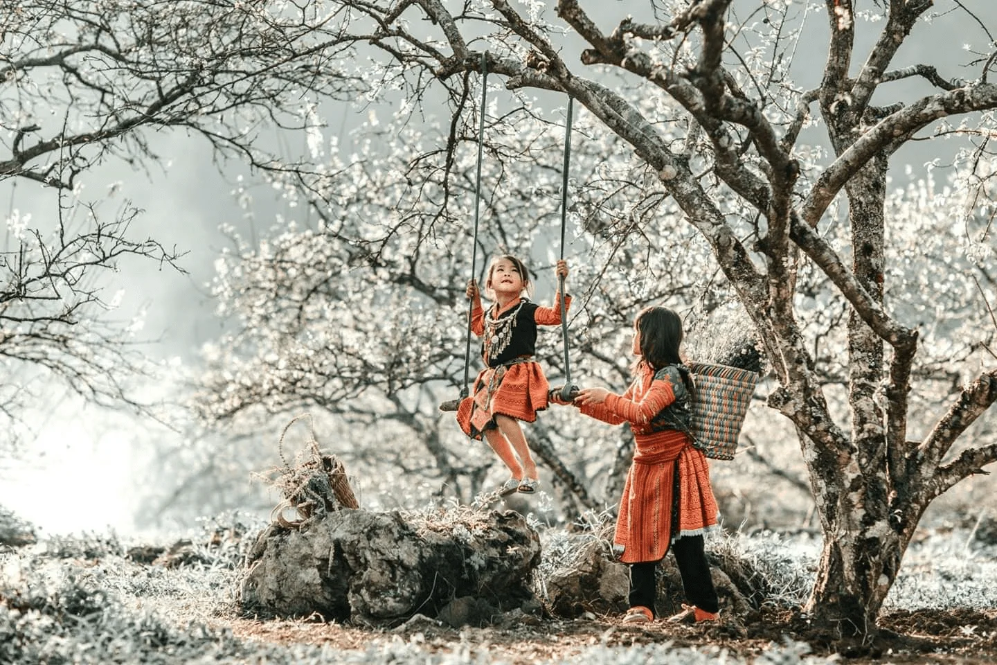 Du lịch Tây Bắc – Khám phá mùa hoa ban nở rộ