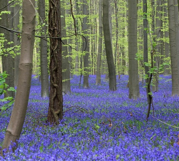 Top 10 điểm du lịch hấp dẫn nhất ở Bỉ