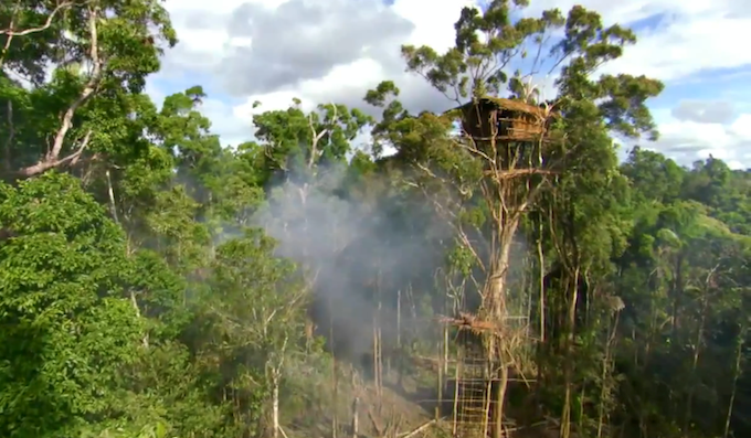 Bí ẩn bộ tộc sống trên cây ở Indonesia