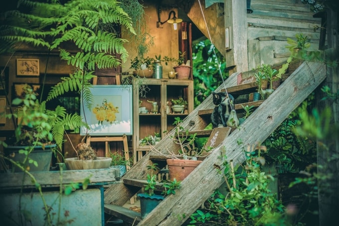 Du lịch Chiang Mai với những điểm đến không thể bỏ lỡ