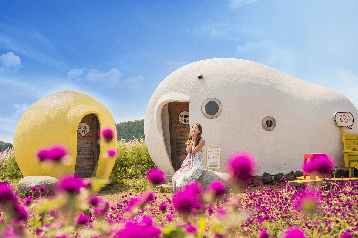 Những điều cần làm khi tới Jeju xinh đẹp