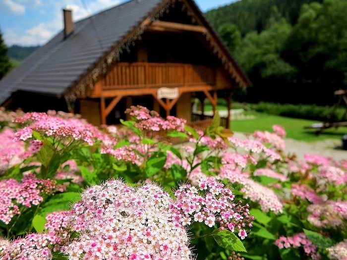 Du lịch Châu Âu khám phá những thiên đường hoa tuyệt đẹp