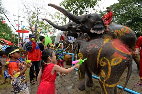 Lễ hội voi Surin Thái Lan có gì hấp dẫn?