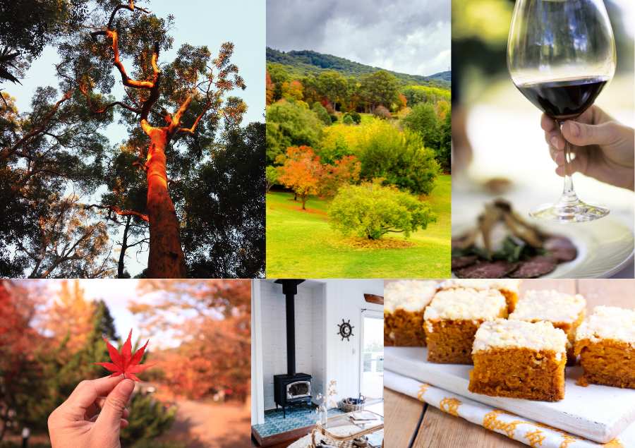 Những biểu tượng của mùa thu nước Úc