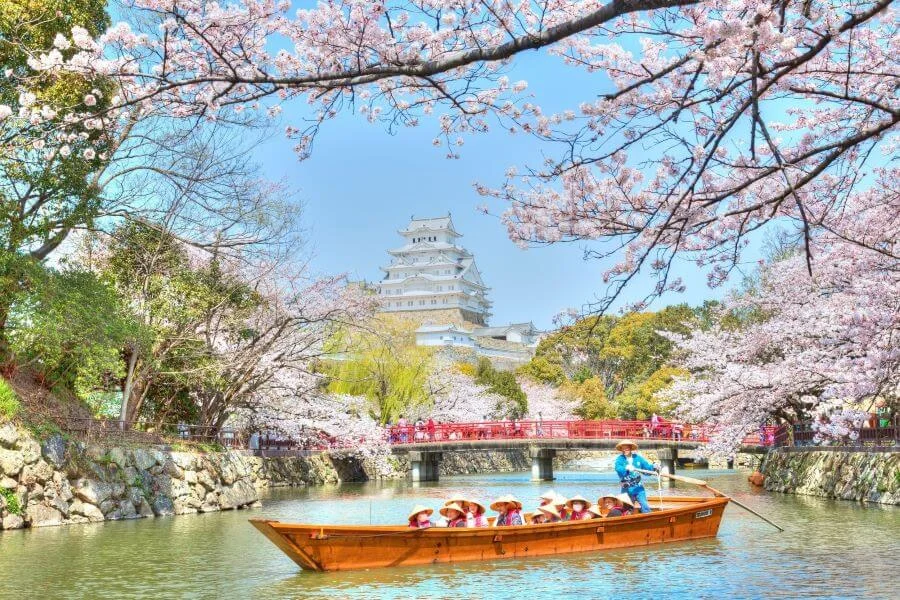 Du lịch Nhật Bản mùa hoa anh đào với 9 trải nghiệm thú vị không nên bỏ lỡ