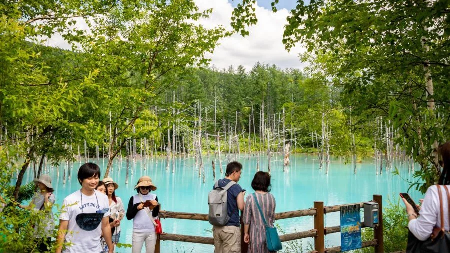 Hồ Xanh Biei - Điểm đến đầy mê hoặc tại Hokkaido Nhật Bản
