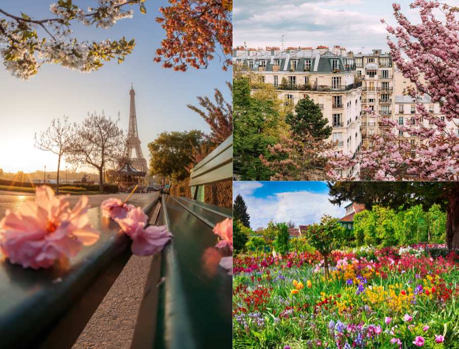 Top những điều hấp dẫn khách du lịch Pháp vào mùa xuân